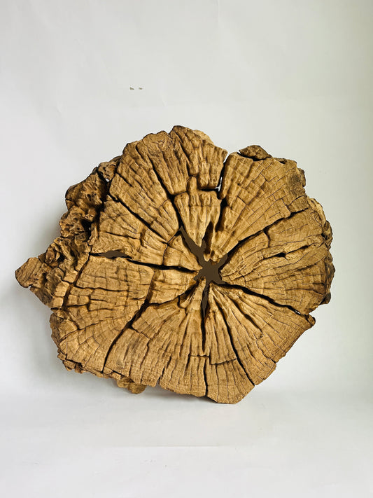 Reserved Listing - Tree Trunk Slice Tray/Wall Decor