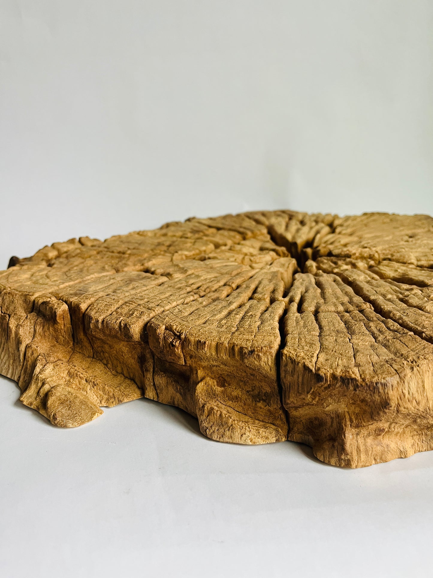 Reserved Listing - Tree Trunk Slice Tray/Wall Decor