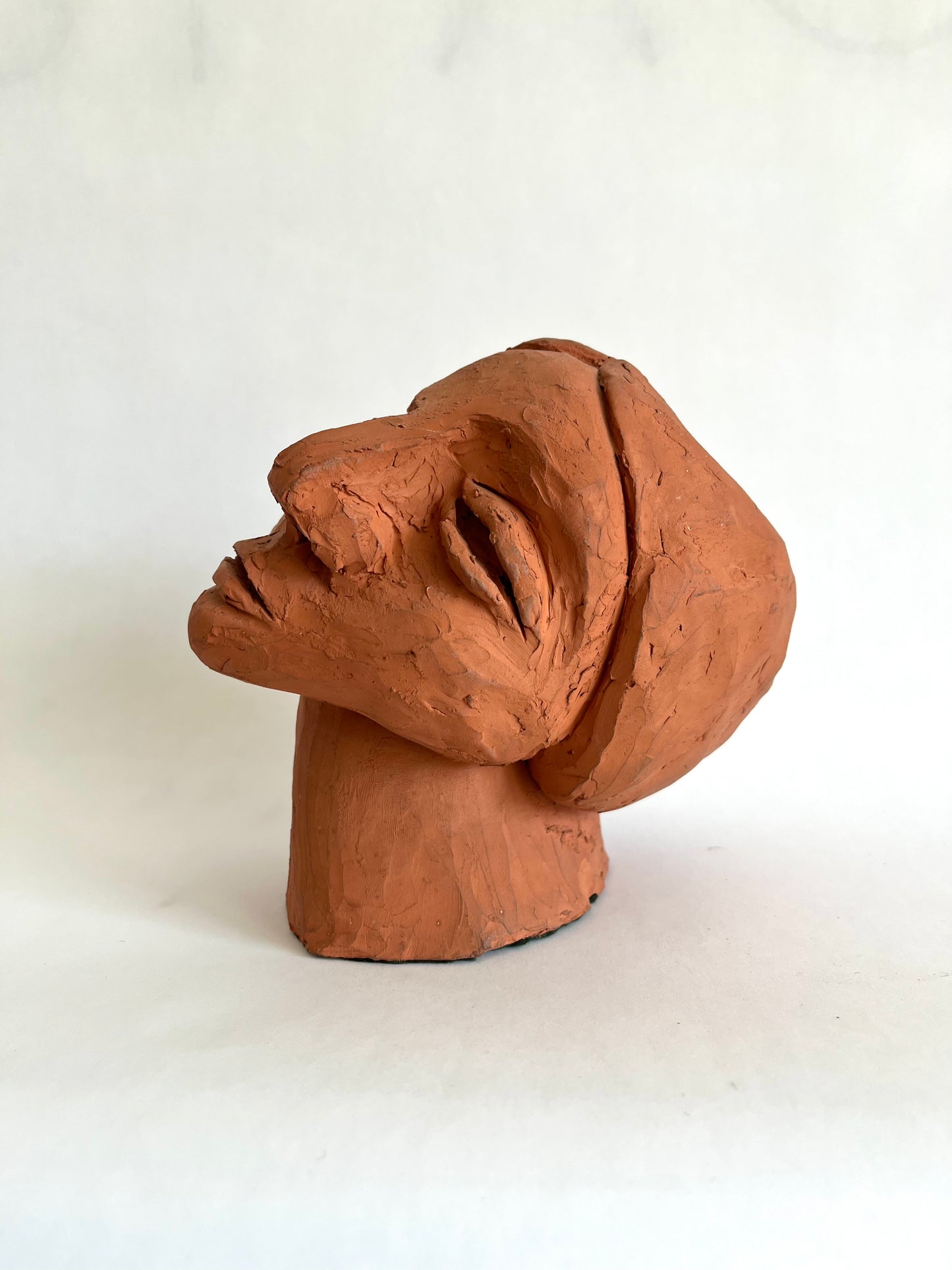 Red Clay Sculpture/Bust