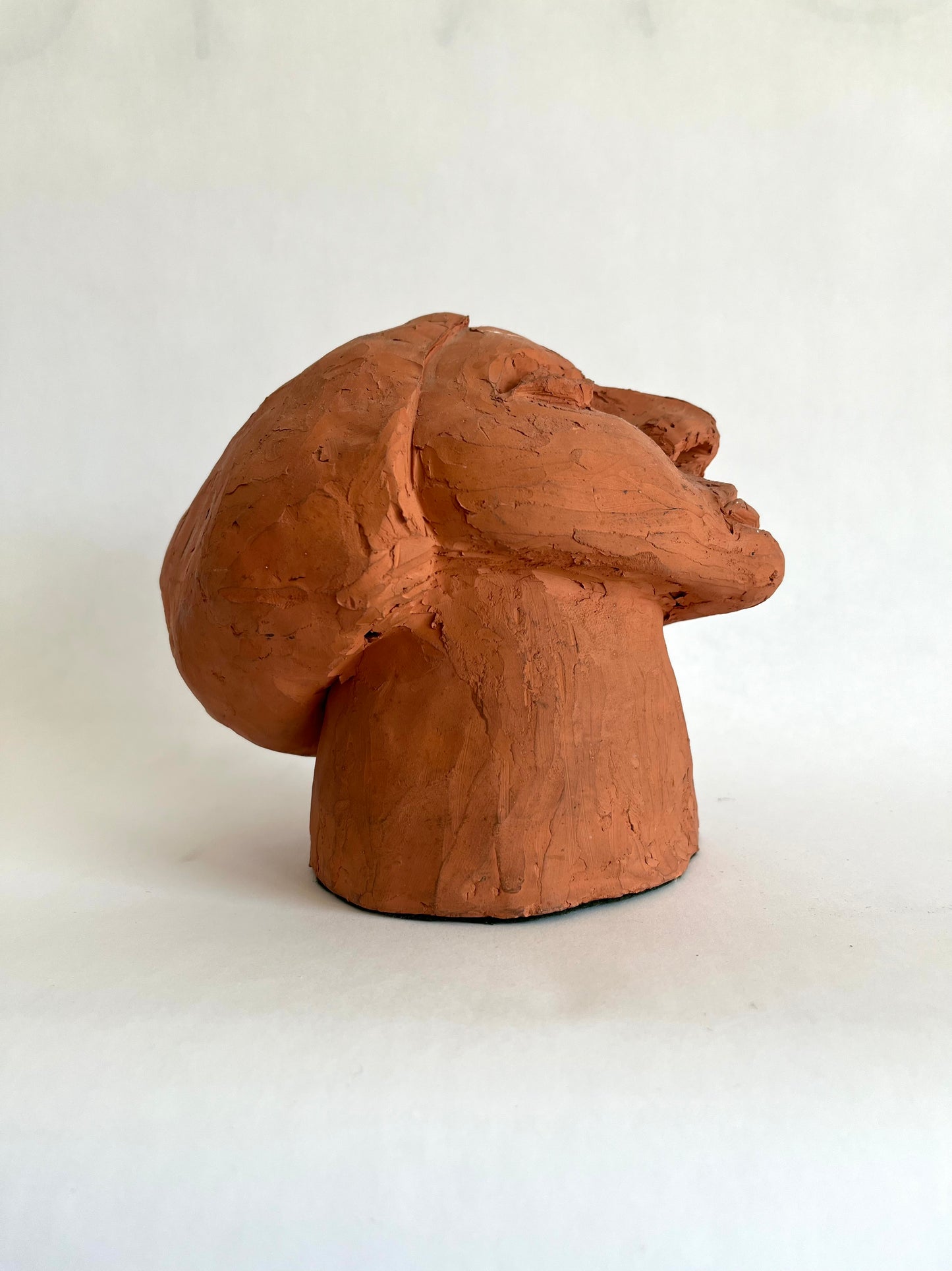 Red Clay Sculpture/Bust